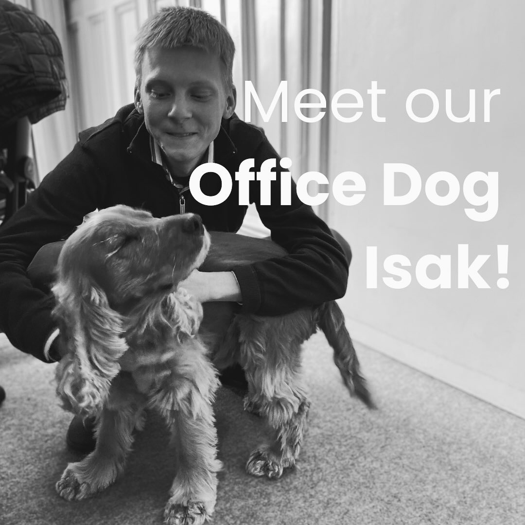 Ctrl Digital Instagram post C9CYq94sP14